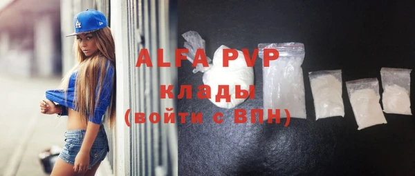 крисы Богородицк