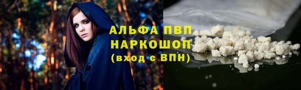 первитин Богданович