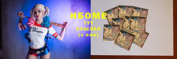 крисы Богородицк