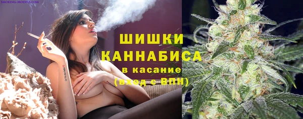крисы Богородицк