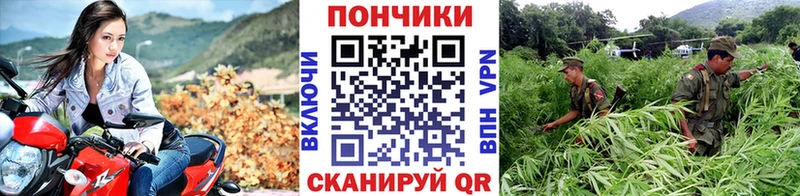 купить наркоту  Дмитриев  Канабис Ganja 
